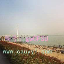 ȫ