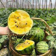 Ļ