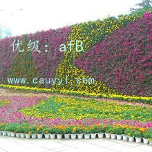չ滮