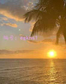 ̫