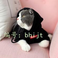 ʽ