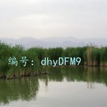 ̫