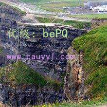 ѡ