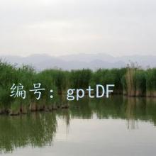 ̫
